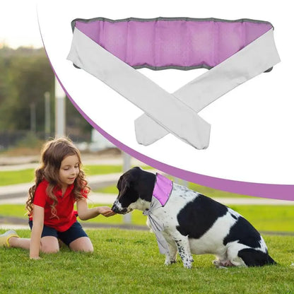 ChillFlex Ice Neck Wrap