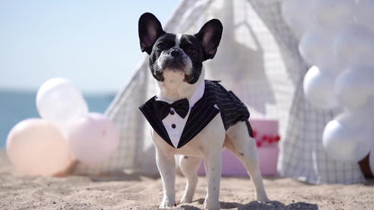 Elegant Black & White Dog Tuxedo with Bowtie - Formal Pet Suit for Large Breeds, Perfect for Weddings & Parties, Machine Washable Polyester - Sizes S to XXL